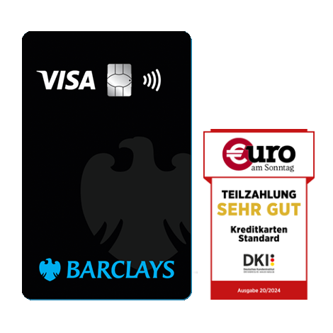 Visa und der Focus Award für die beste Kreditkarte mit Teilzahlungsfunktion